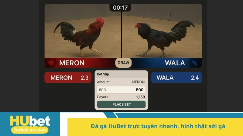 đá gà HuBet trực tuyến nhanh, hình thật sới gà